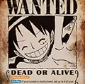 Card image of OP13-118 Monkey.D.Luffy