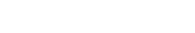 THE KING OF